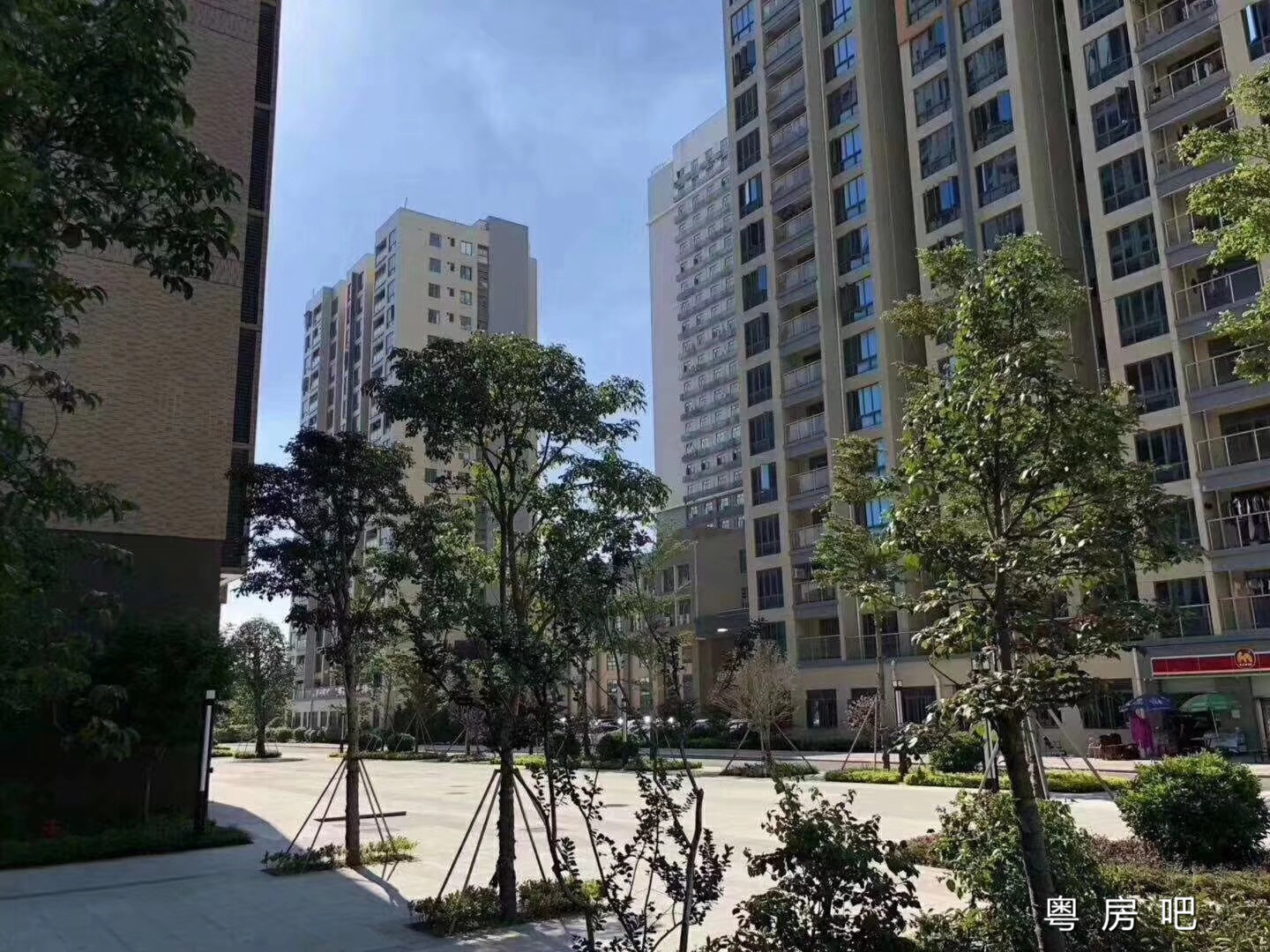 深圳松岗《通城花园》 6栋花园统建楼封闭式管理 地下停车场均价13000元