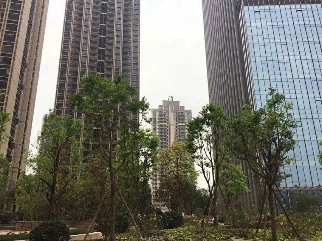 深圳沙井后亭回迁房 1年内拿红本 单价29000元起