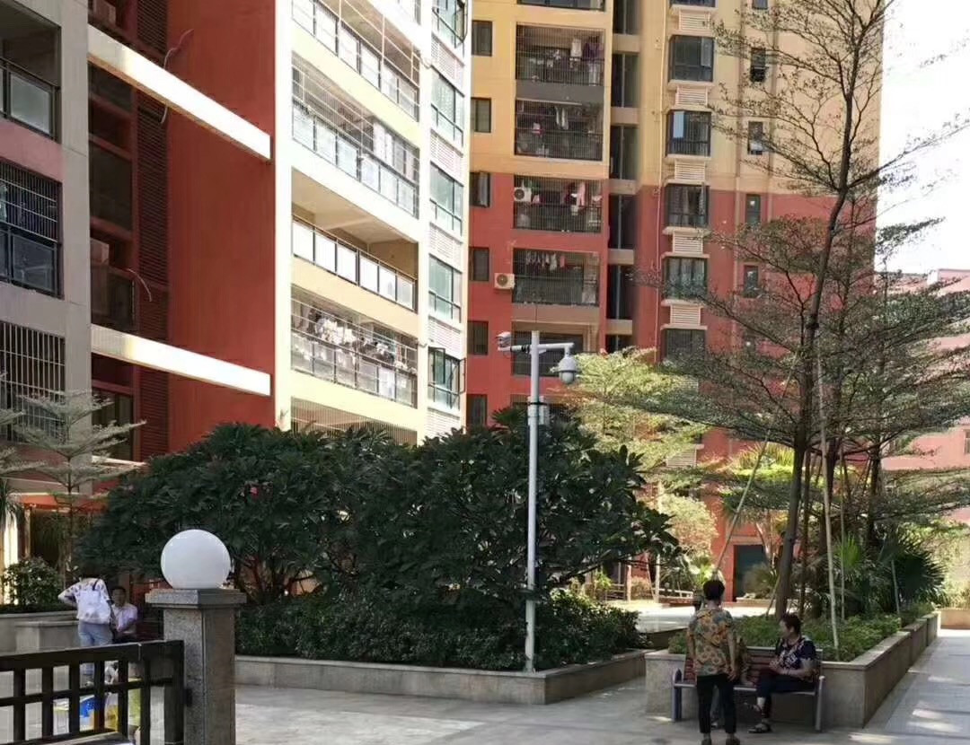 宝安松岗地铁口《温声雅居》4栋大型村委统建楼 两梯四户专业管理 1:1停车场带天燃气