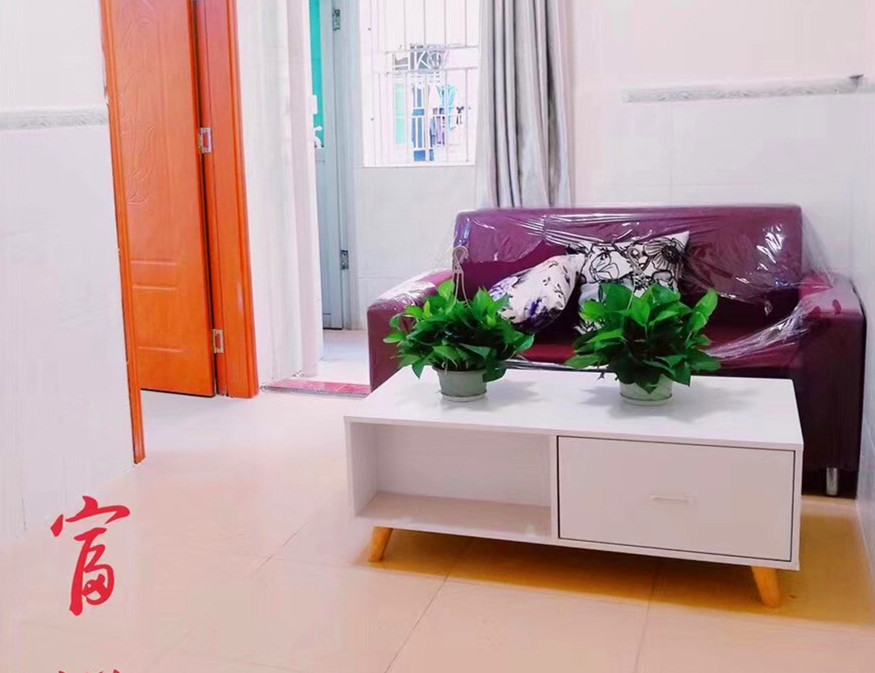 龙华大浪《富裕名居》商业中心旁小产权房 精装公寓24.45万起