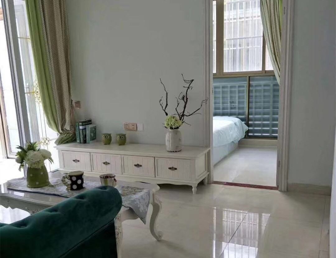 龙华民治快销盘《沿河小居》小产权房 臻品户型 天燃气大阳台送精装