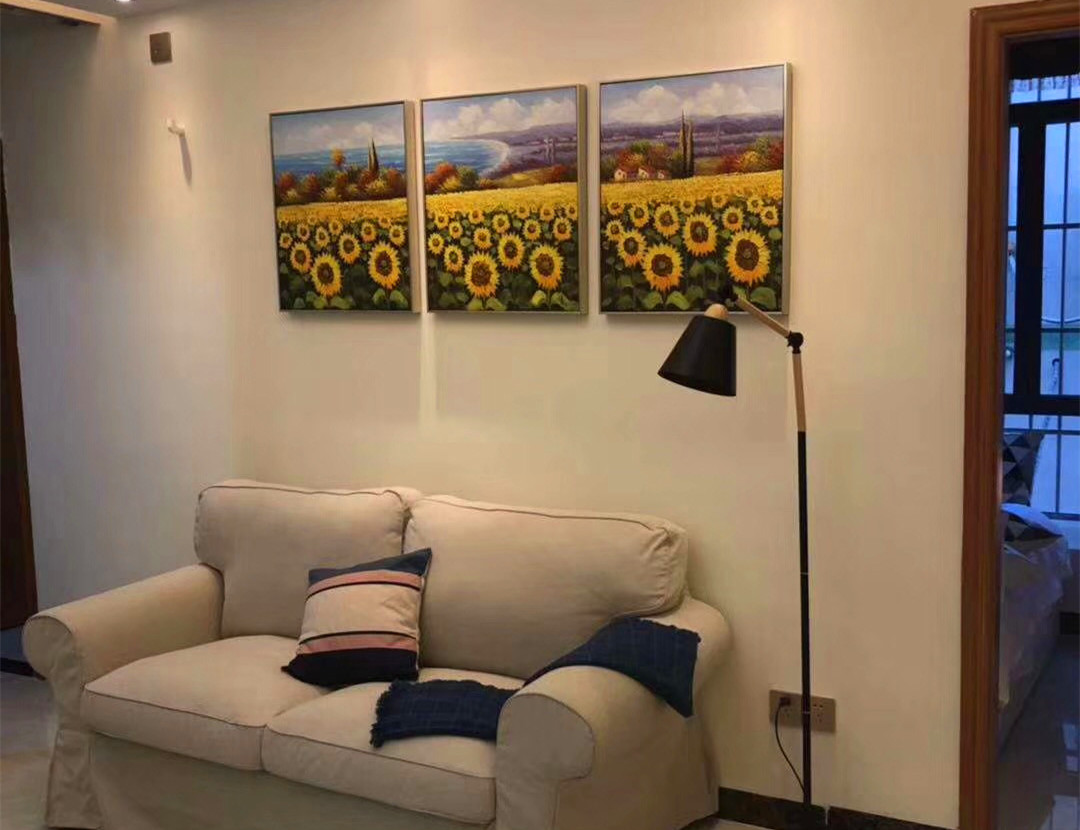 龙岗布吉长龙地铁口《细靓公寓》精装小产权房 准拆迁房