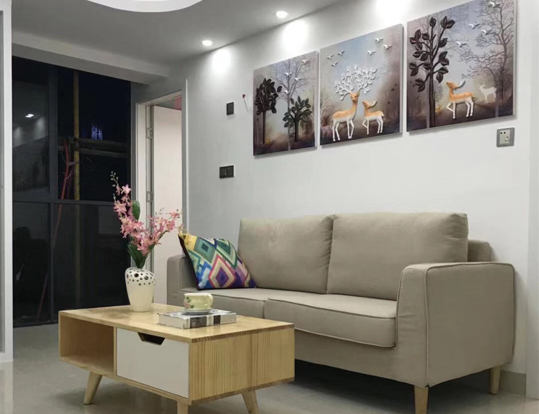 深圳观澜大水坑《浪漫公寓》小产权房 豪华装修一梯四户