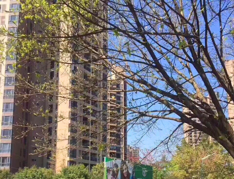 东莞凤岗《凤岗天堂围》新盘小产权房 均价5188元起