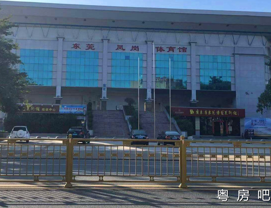 东莞凤岗统建楼出售《百合花园》3栋大型统建楼 均价5980元起