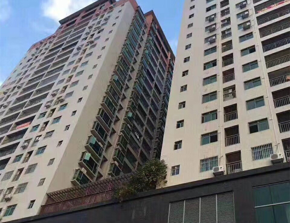 东莞长安《滨海公馆》空中花园小产权房 户型方正带停车场