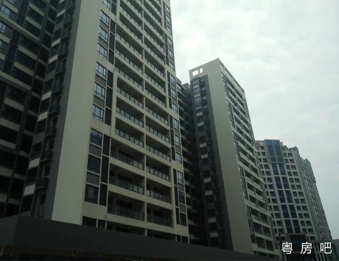 东莞长安《富山居》3栋花园统建楼 万科中心旁全落地窗设计