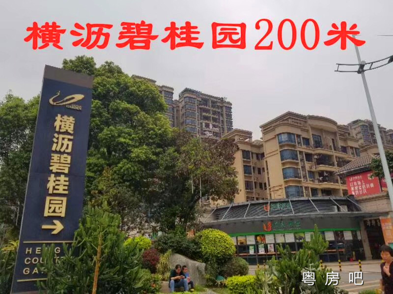 东莞横沥村尾【新城花园】3栋花园小区房 带天然气和停车场