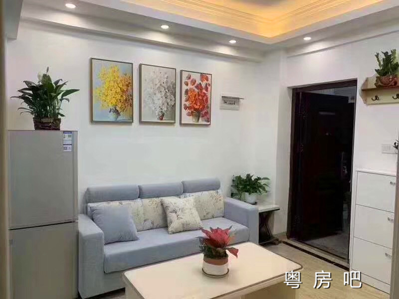 龙岗布吉丹竹头《吉祥华府 》小产权房新盘 两房56万起