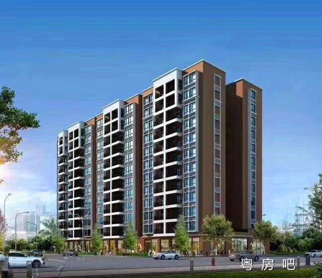 东莞塘厦小产权房最新楼盘《莲湖家园》带天然气物业！送精装