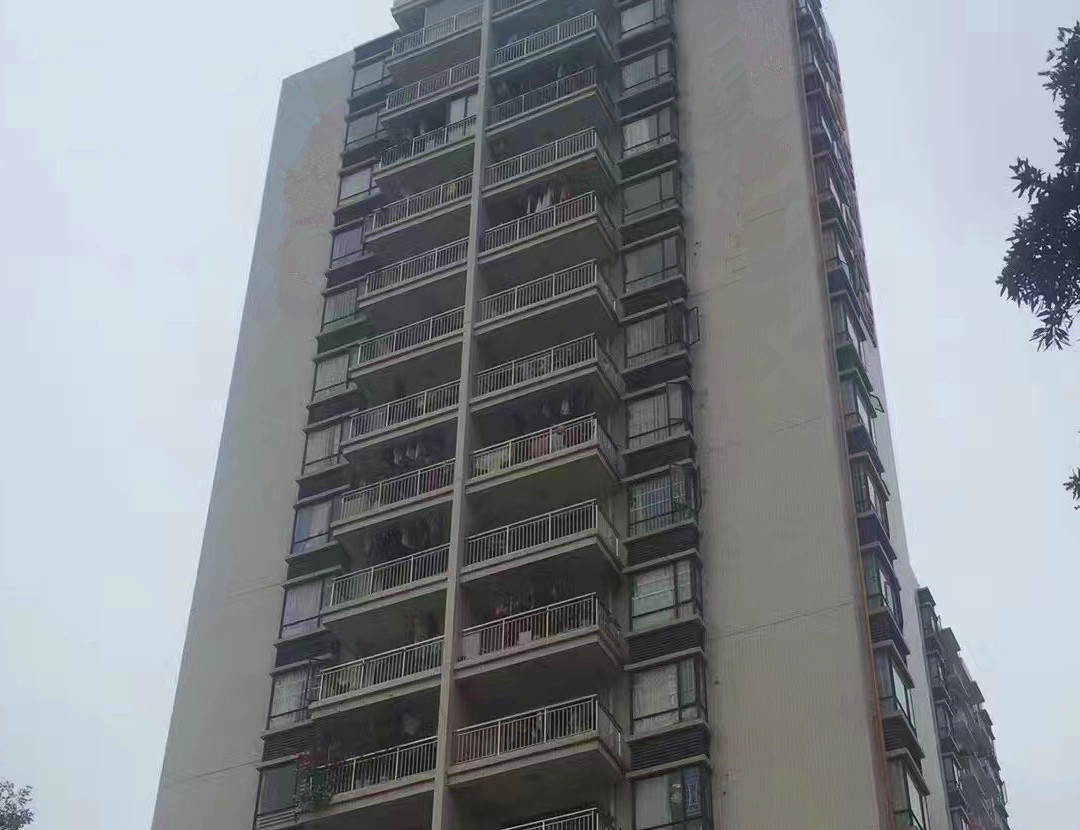 沙井上星村委统建楼《新园雅苑》村委盖章，可入深户