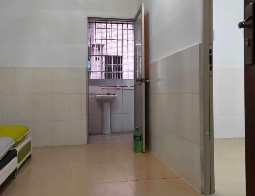 坂田五和《嘉宸公寓》小产权房 原始户型 精装修 双地铁口物业