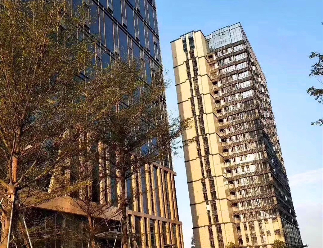 布吉李朗统建楼《CEO公馆》7栋大型花园小区房 双地铁口物业