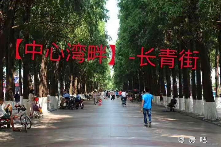 微信图片_201906041839392