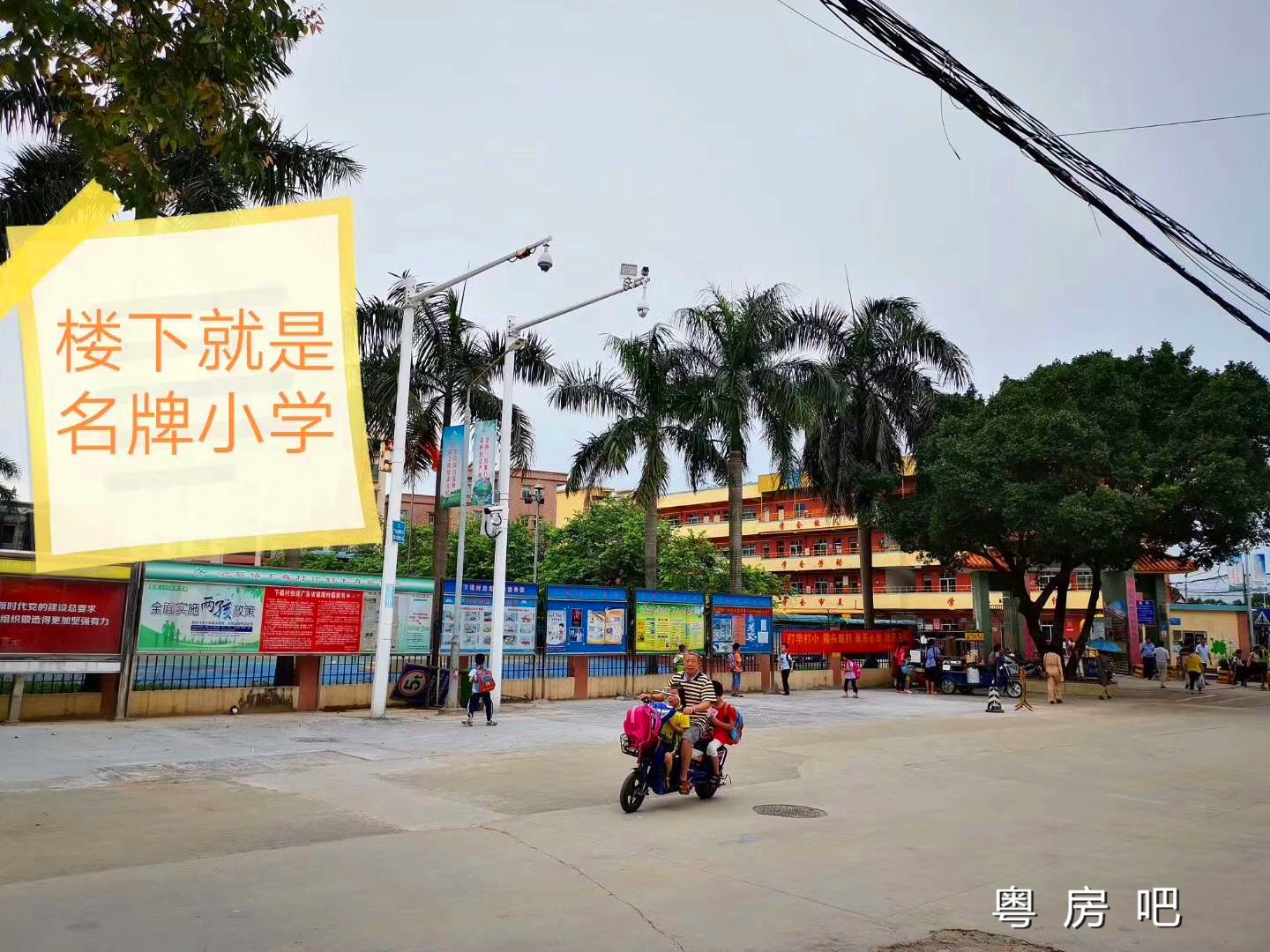 微信图片_20190612130006