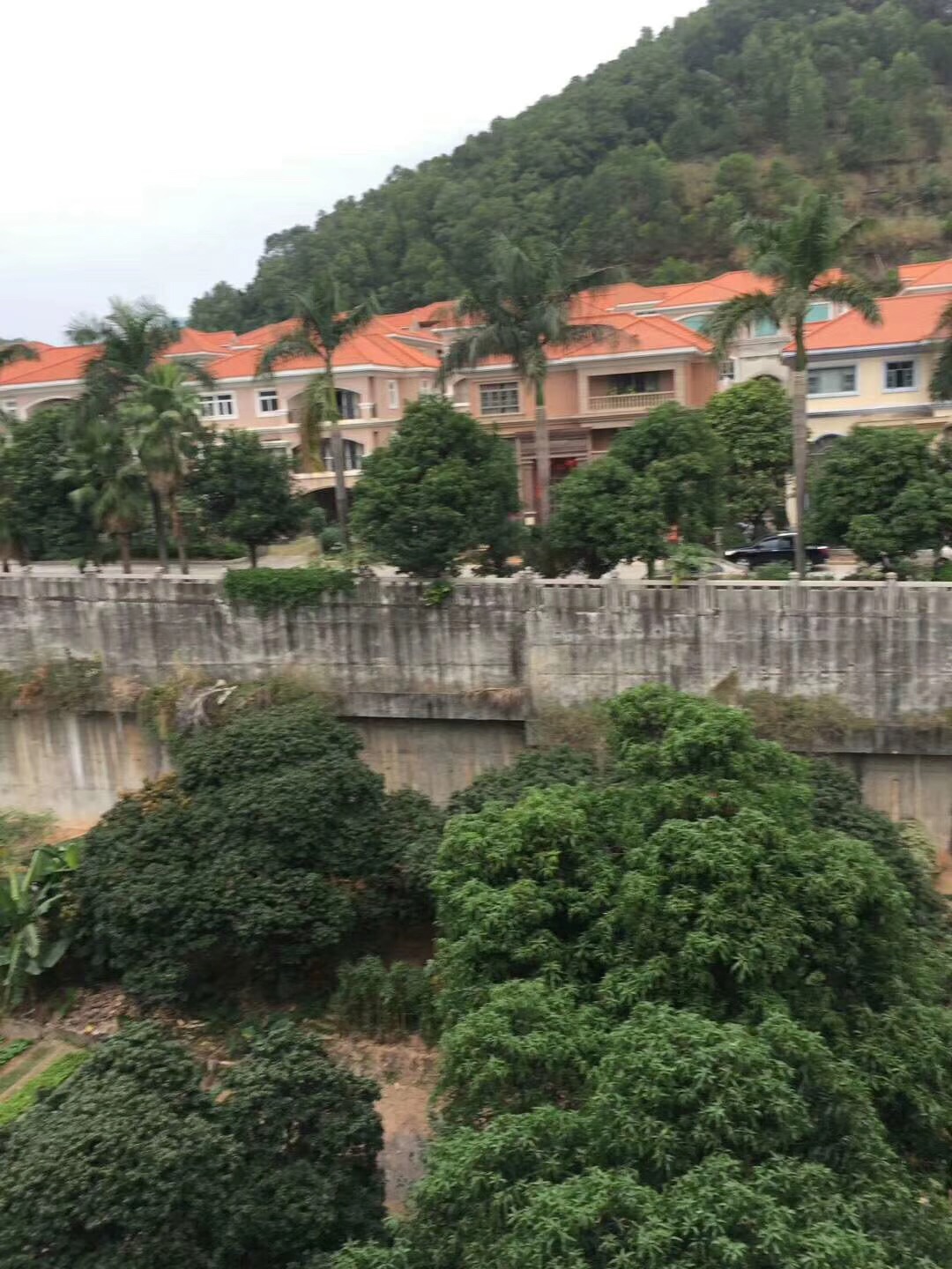 微信图片_201906131433012