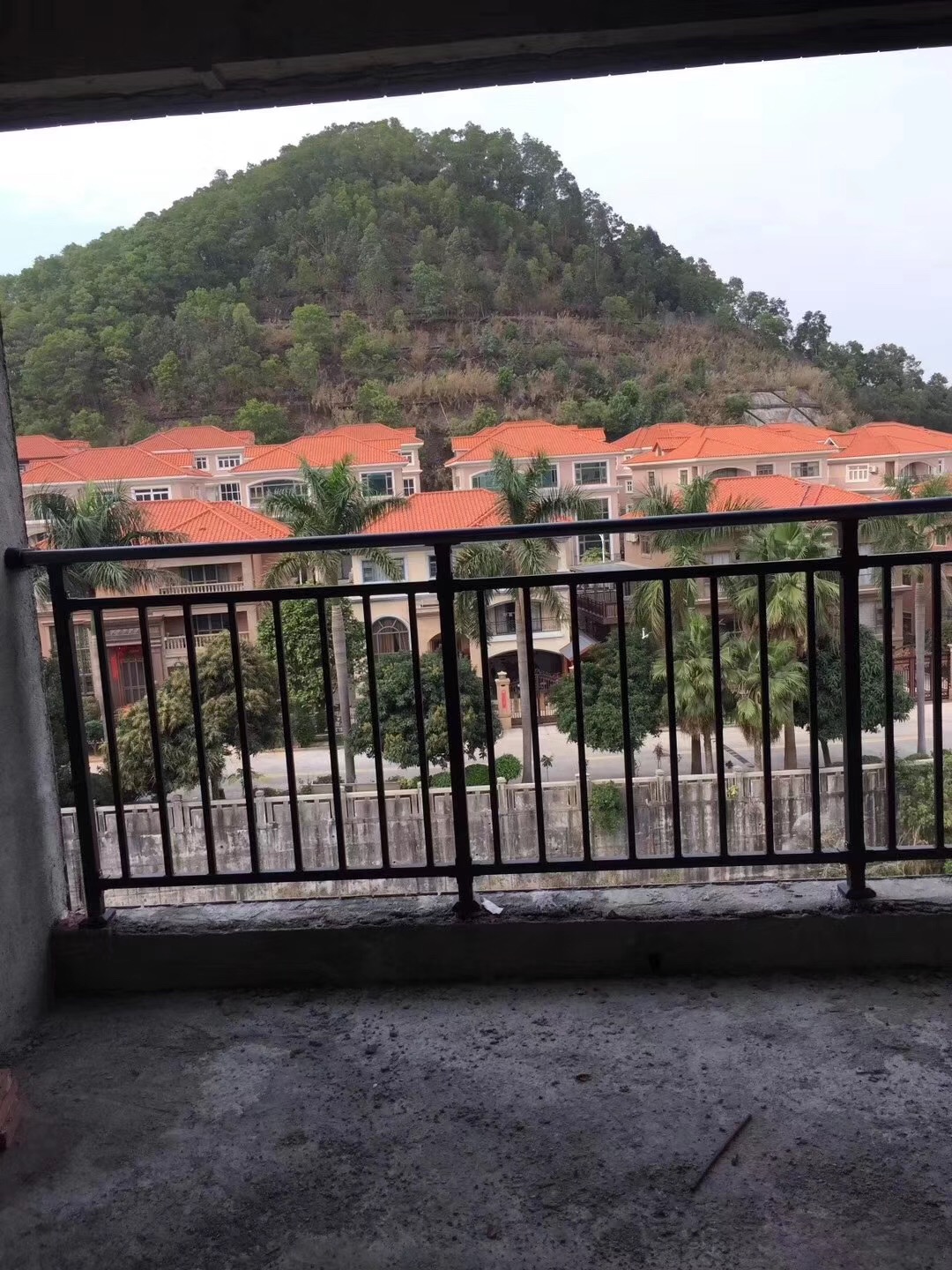 微信图片_201906131433018