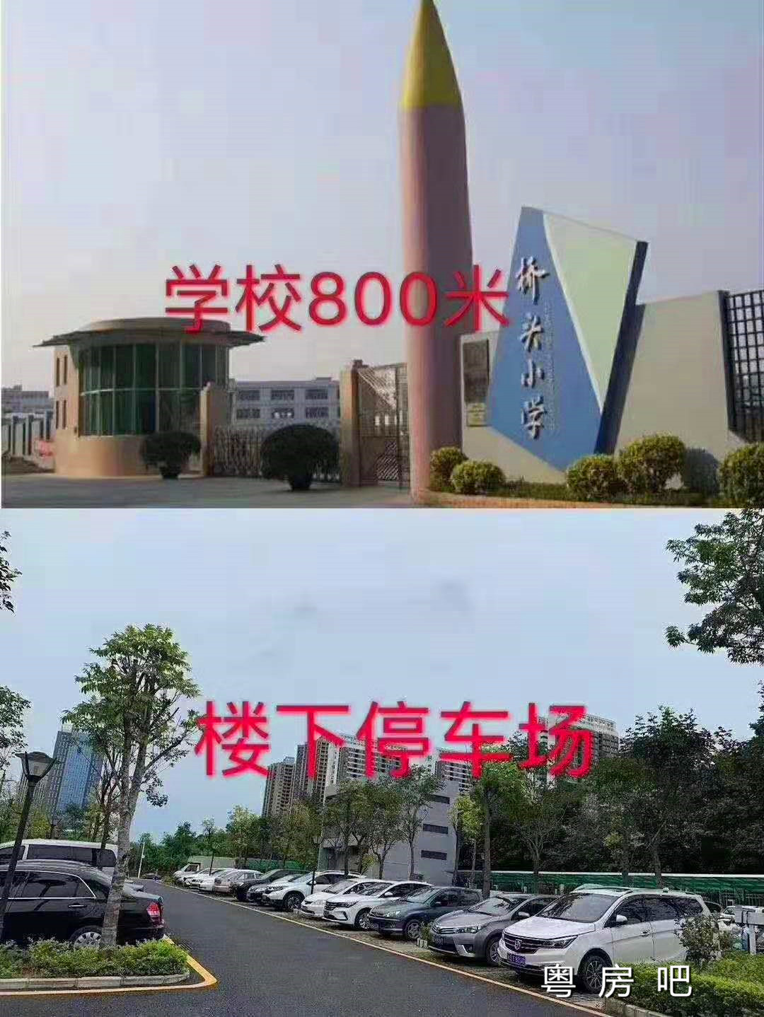 微信图片_201906261618548