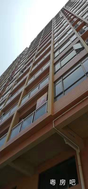 微信图片_20190629124624