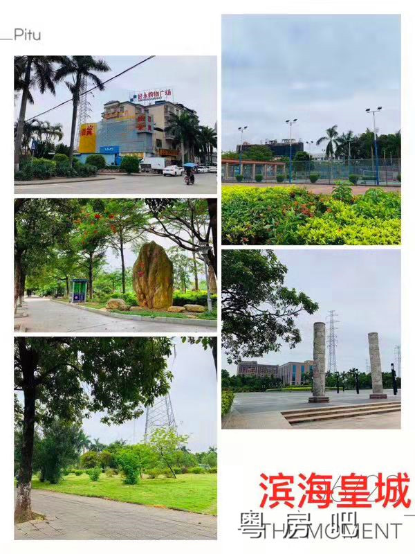 微信图片_201906291247092