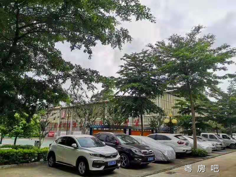 微信图片_201906282347252