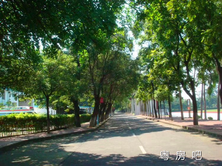 微信图片_201907031447057