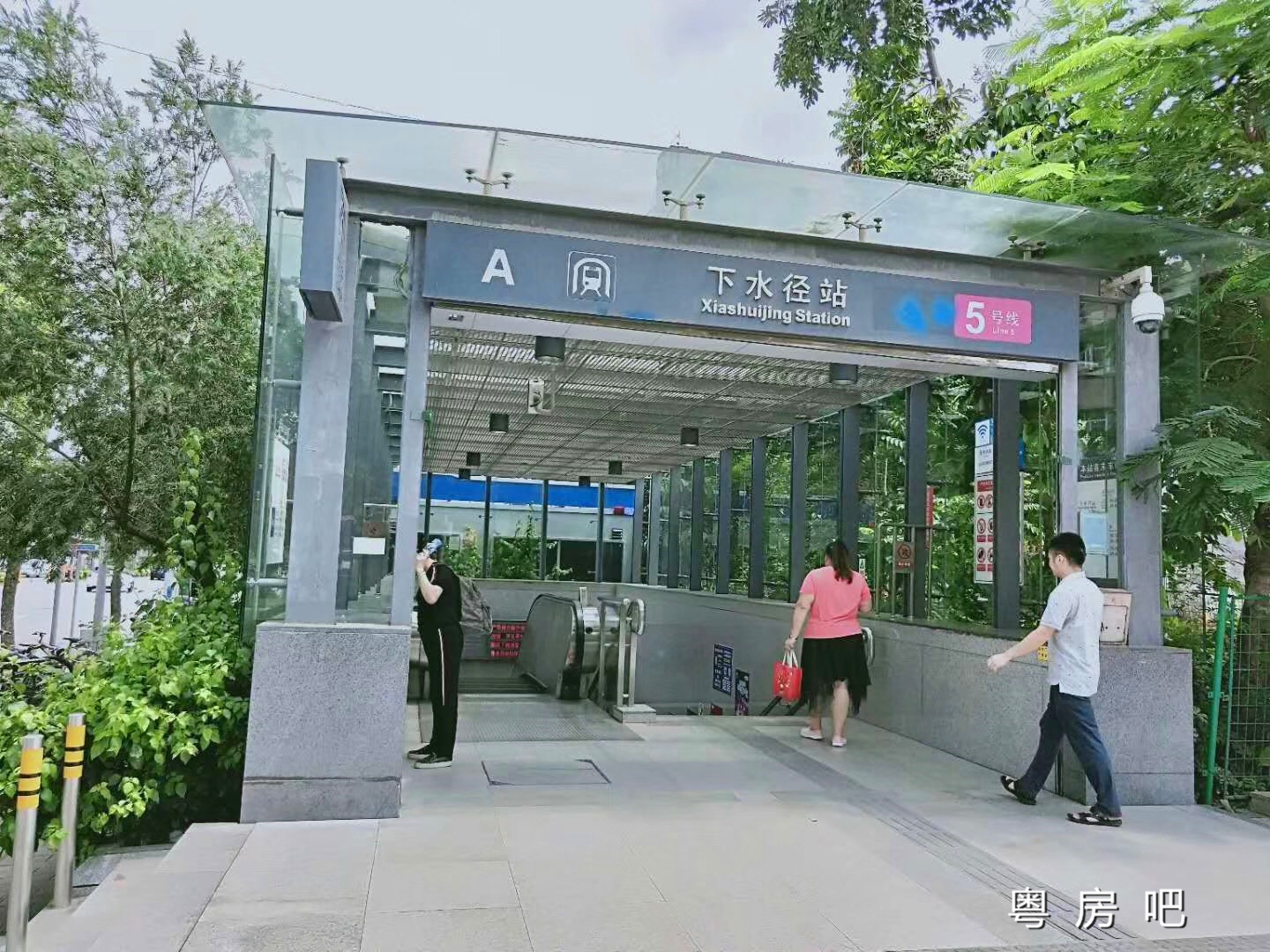 微信图片_201907032200275