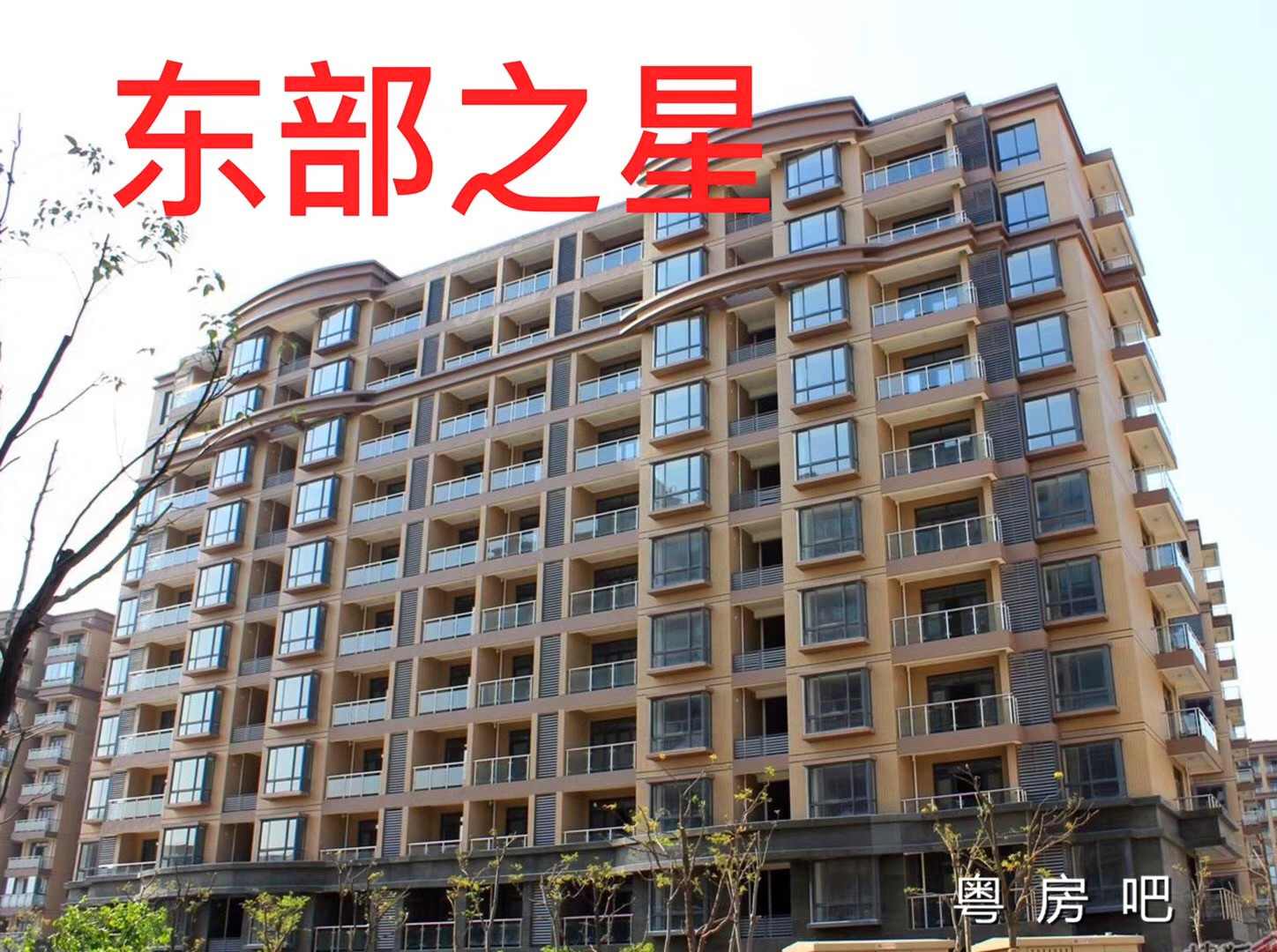 东莞企石清湖文化广场《东部之星》小产权房出售 马路第一排 带停车场和空中花园