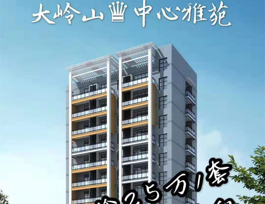 大岭山中心新盘《中心雅苑》精装小产权房 两房25万每套起 返租1500元每月