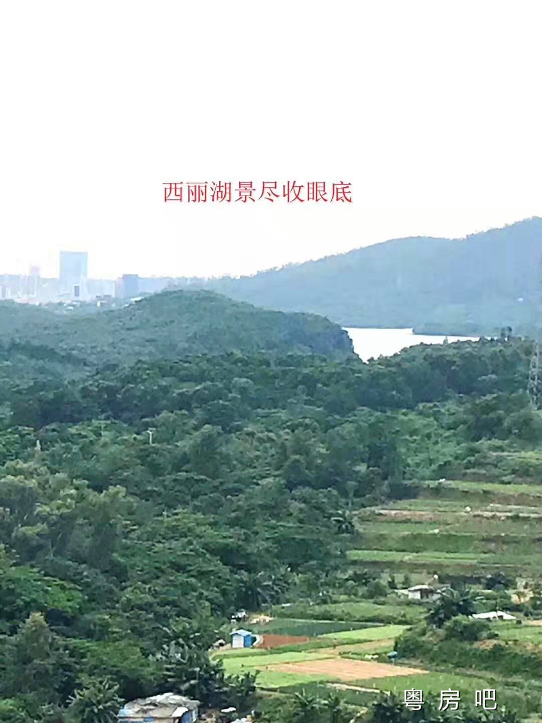 微信图片_201907161131372