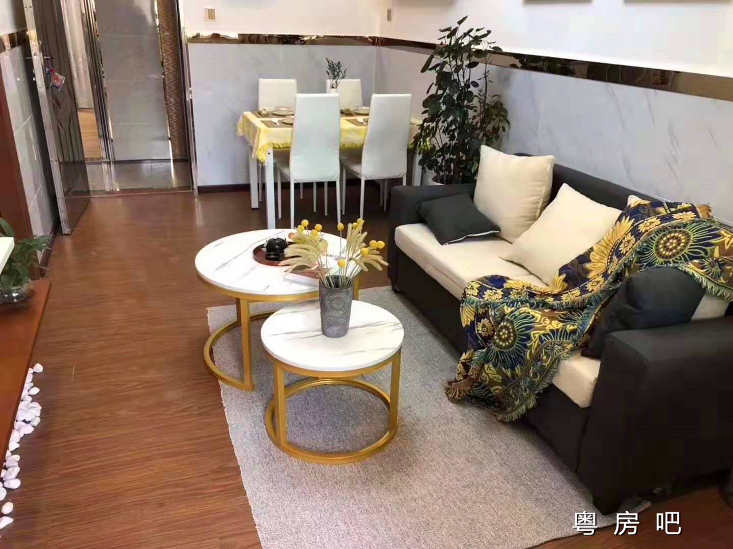 光明田寮《锦田新城》新楼盘小产权房 14.2万买精装电梯洋房