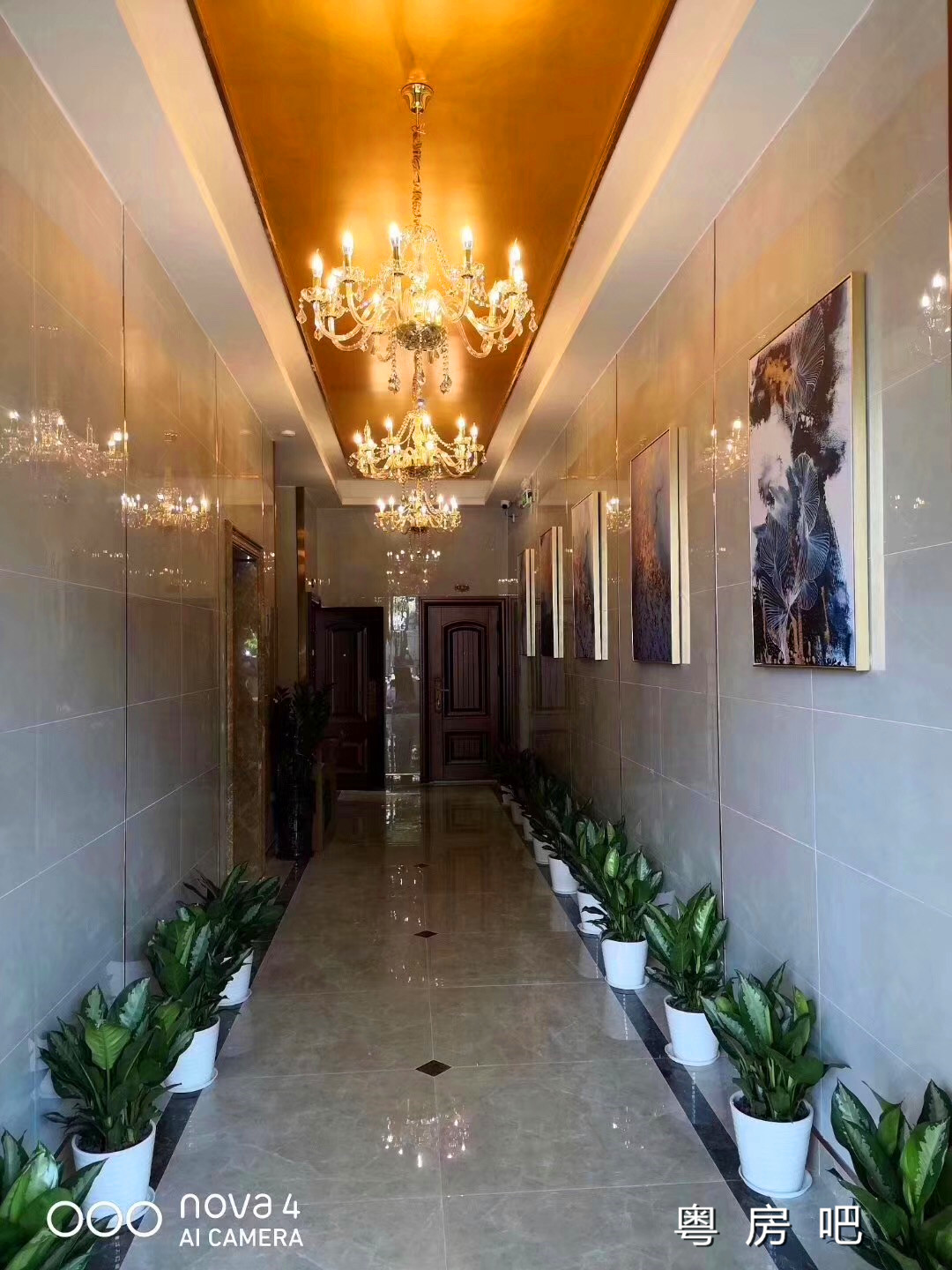 微信图片_20190723130421