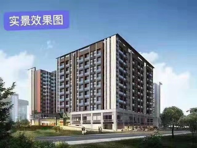 东莞大朗竹山新盘《联鑫嘉园》带学区的小产权 大阳台 大飘窗 无暗房