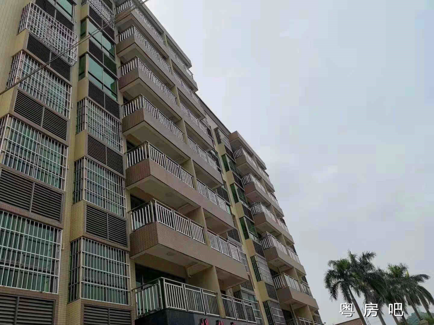 东莞大朗犀牛陂《华为湖畔山庄》大型统建楼出售 精装修带地下停车场