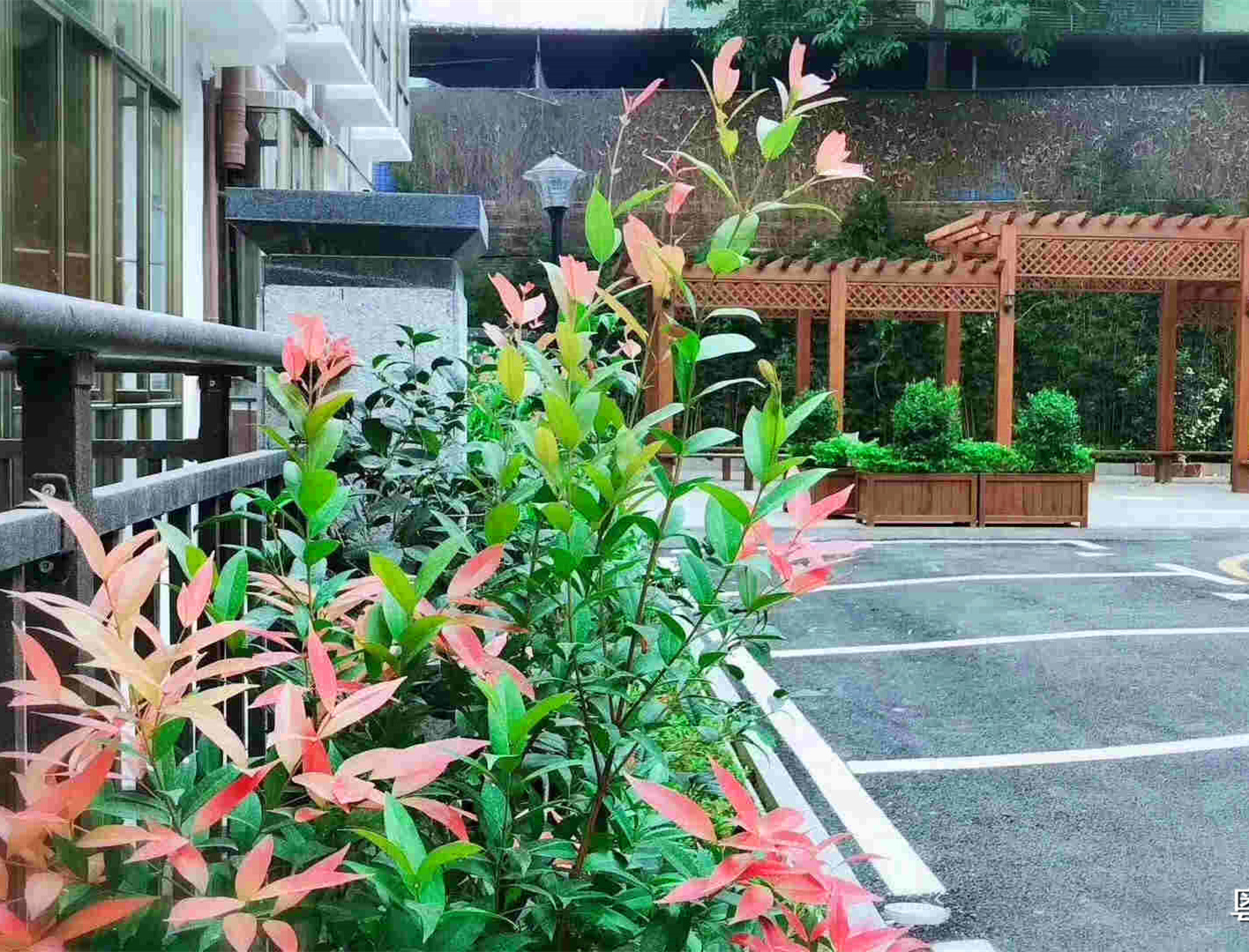 龙华观澜8栋大型村委统建楼《澜山壹号》发绿本 通燃气 带停车场 均价12000元