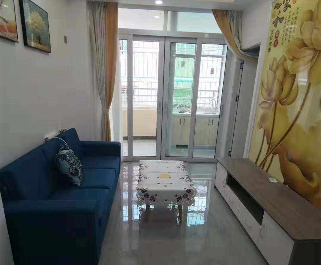 横岗大运荷坳地铁口《大运星家园》小产权房 原始精装户型 两房76.5万起