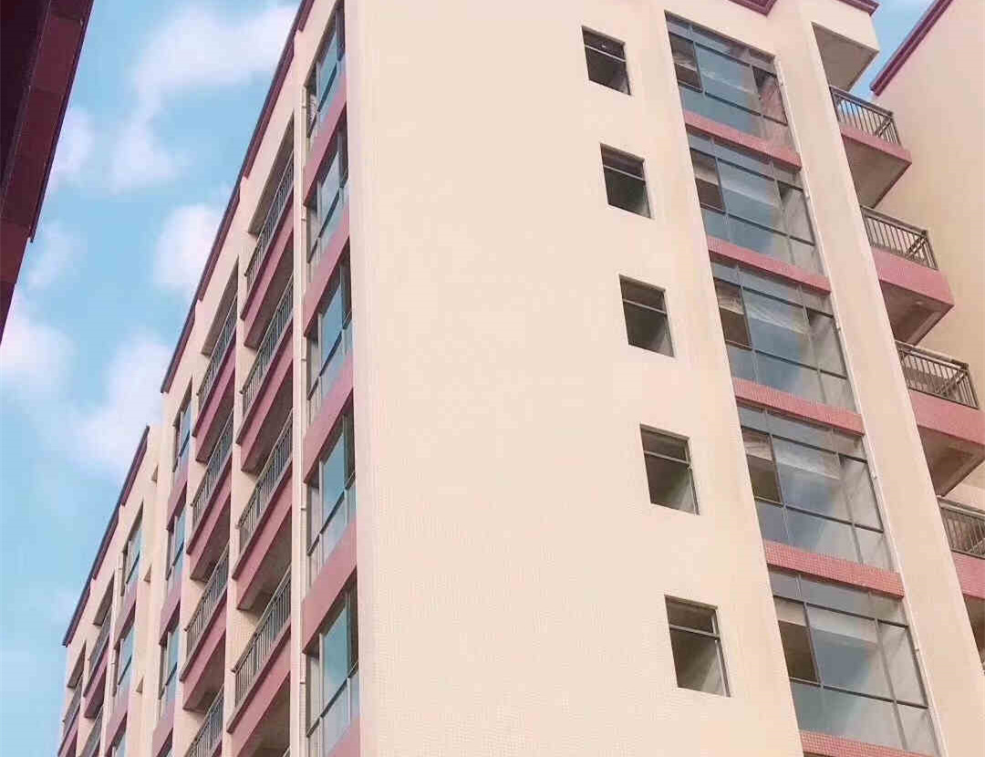 东莞大岭山地铁口《金岭嘉苑》4栋大型统建楼 大岭山中心小学20米