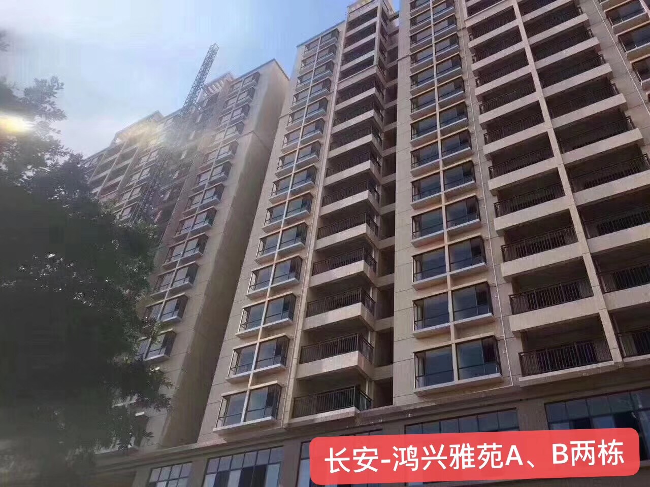 长安沙头新楼盘《鸿兴雅苑》AB两栋大型统建楼 均价4900元