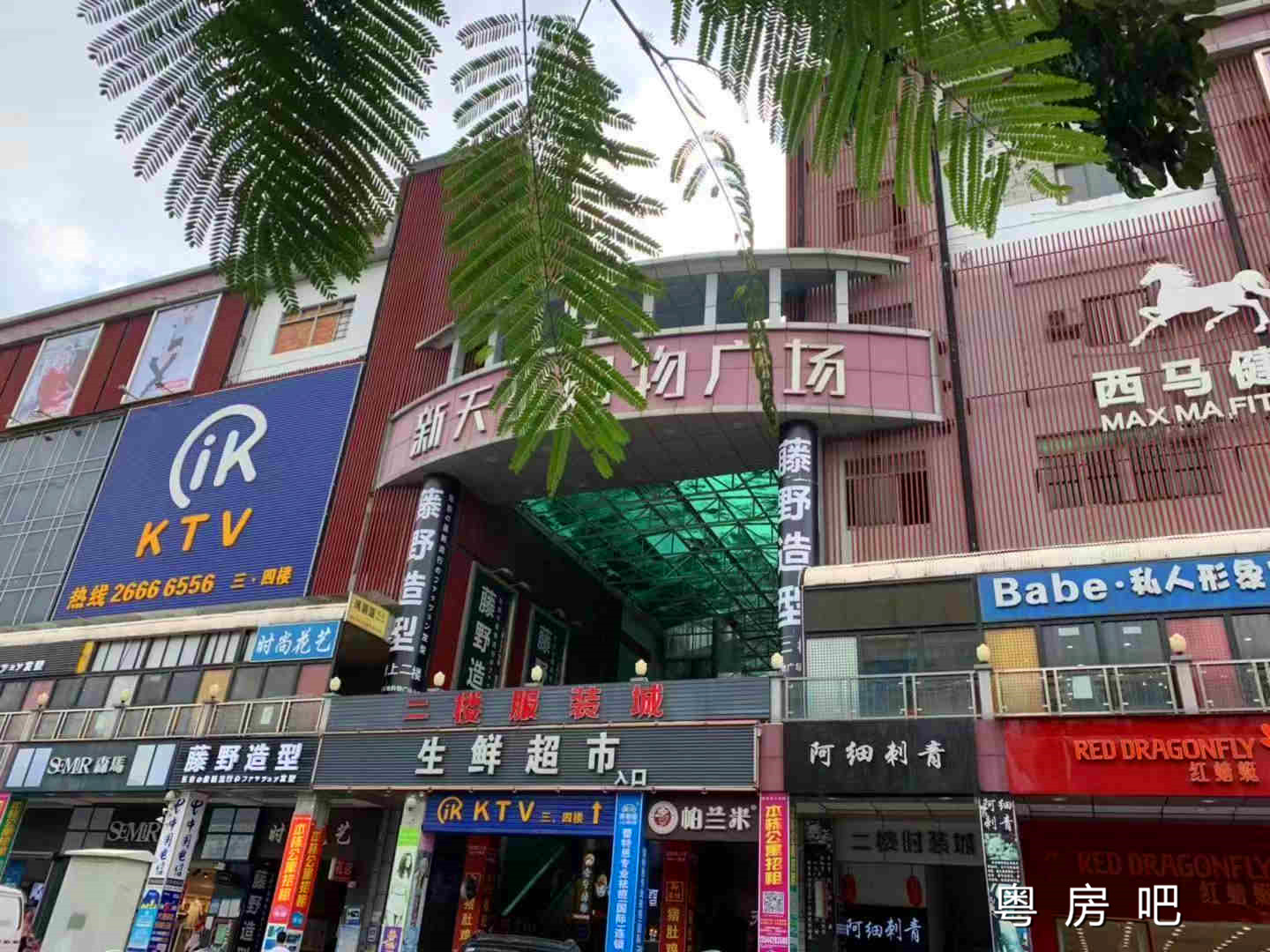 微信图片_20190904120420