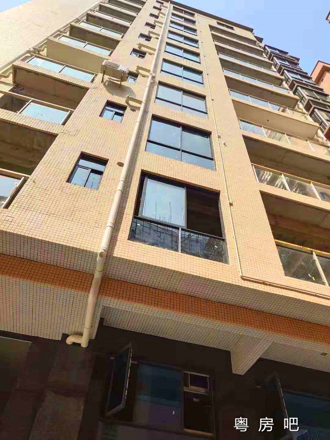 微信图片_201909101450392