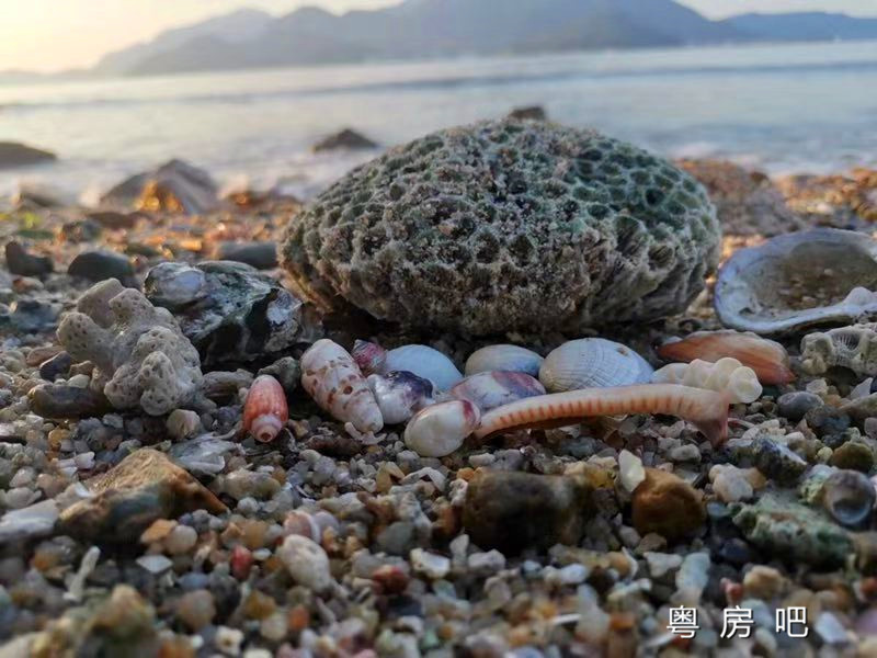 微信图片_20190912123256