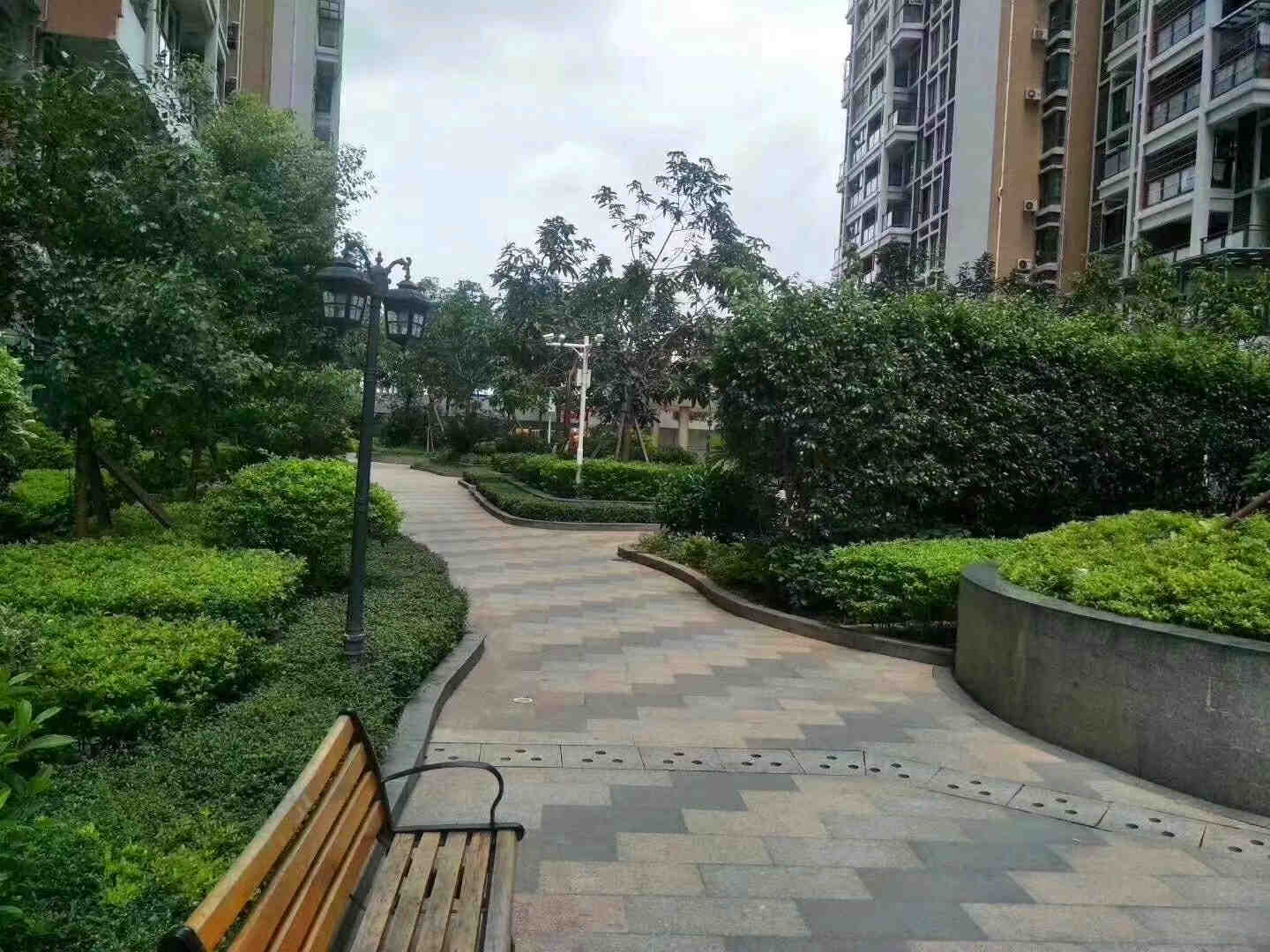 微信图片_201909241622272