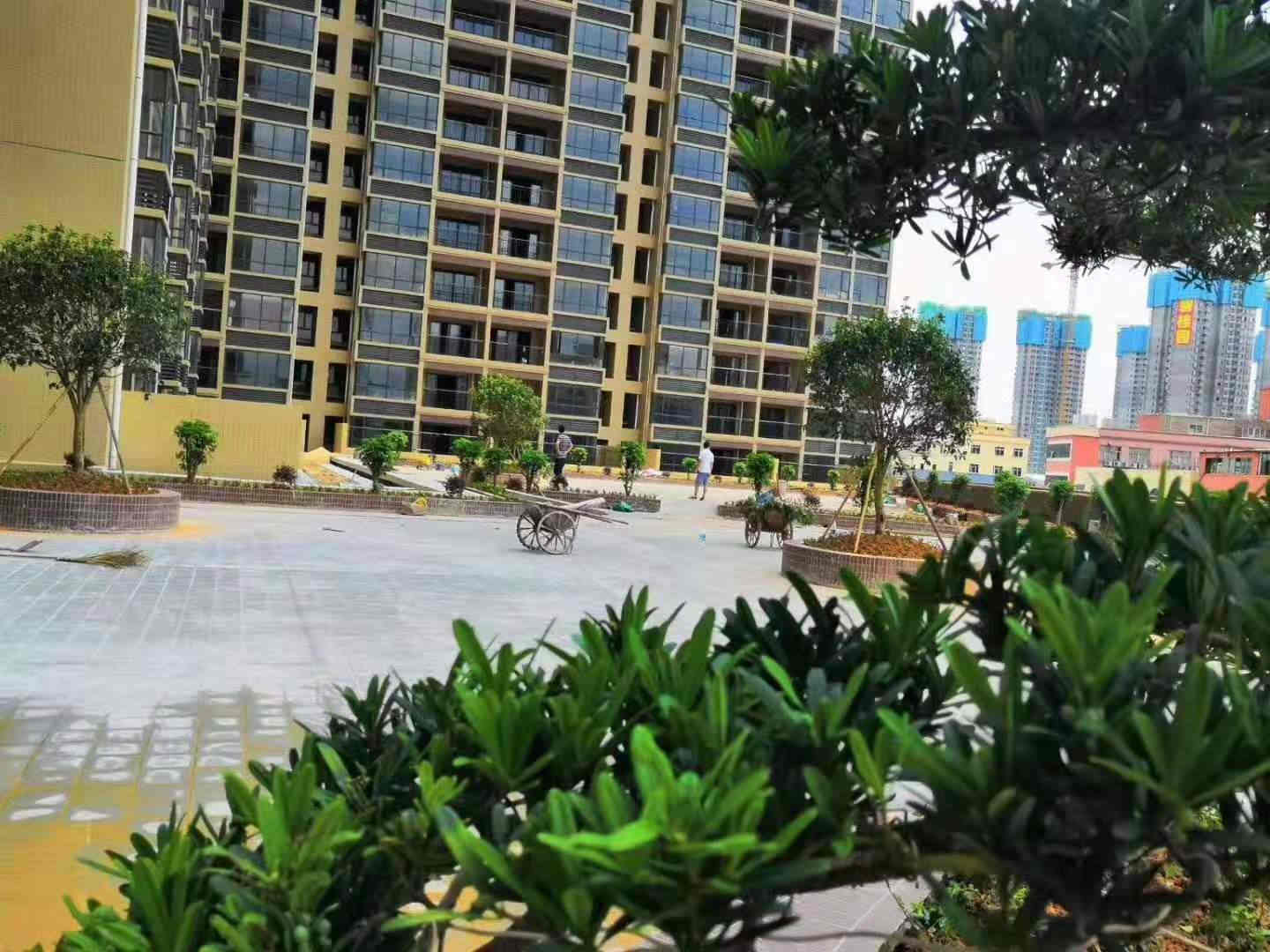 松山湖大朗《中心花园》5栋封闭式花园小区 自带大型商业和带下停车场 均价5980元起