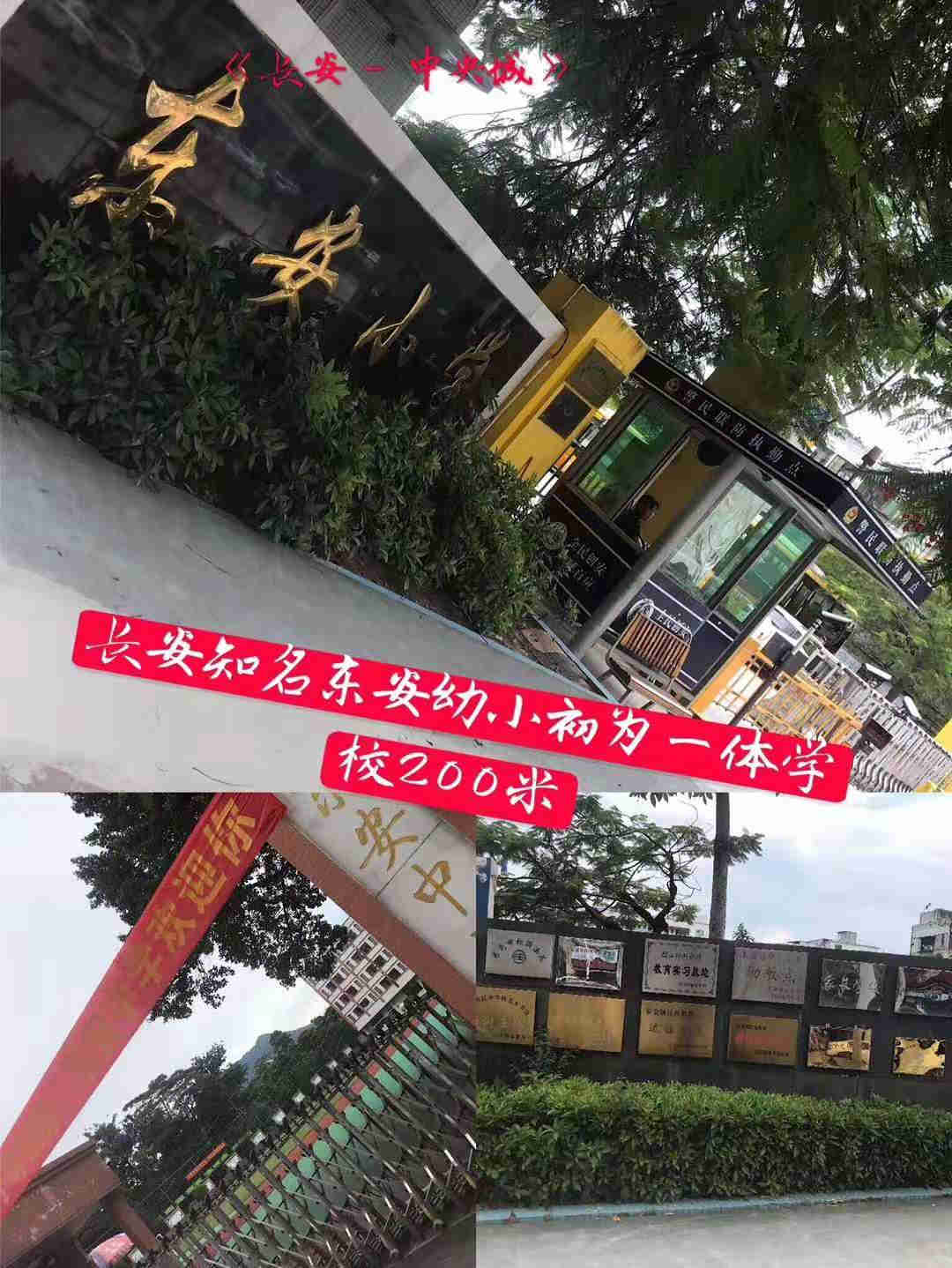 微信图片_201909261047004