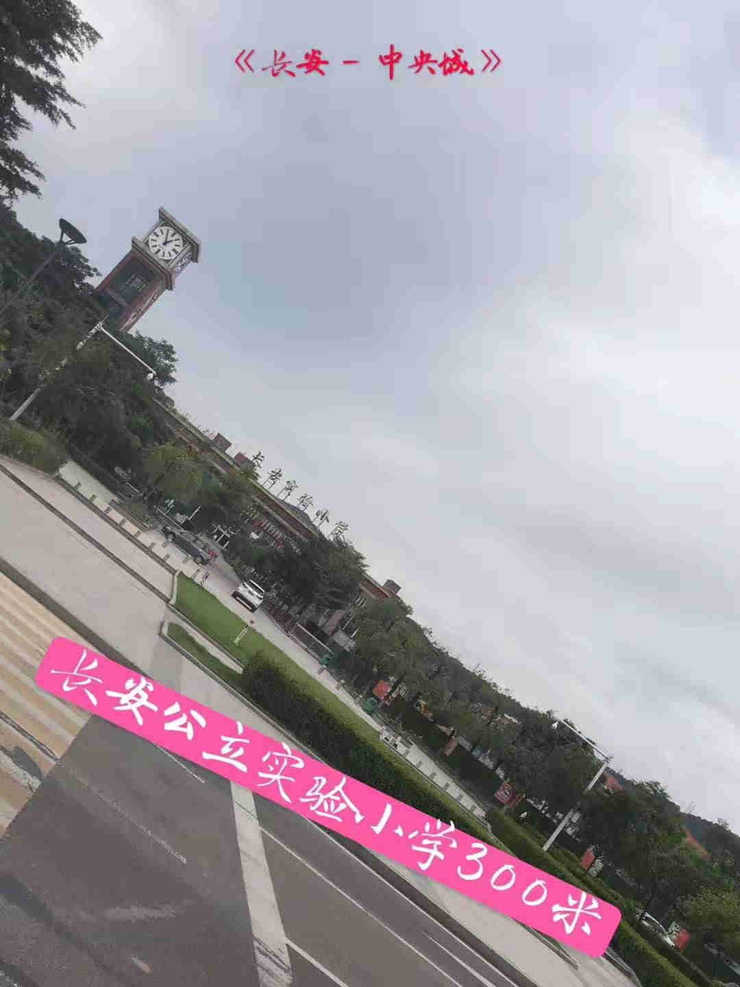 微信图片_201909261047007