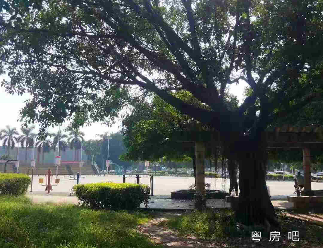 微信图片_201909281657017