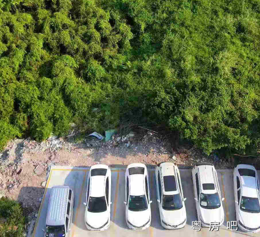 微信图片_201909281657018