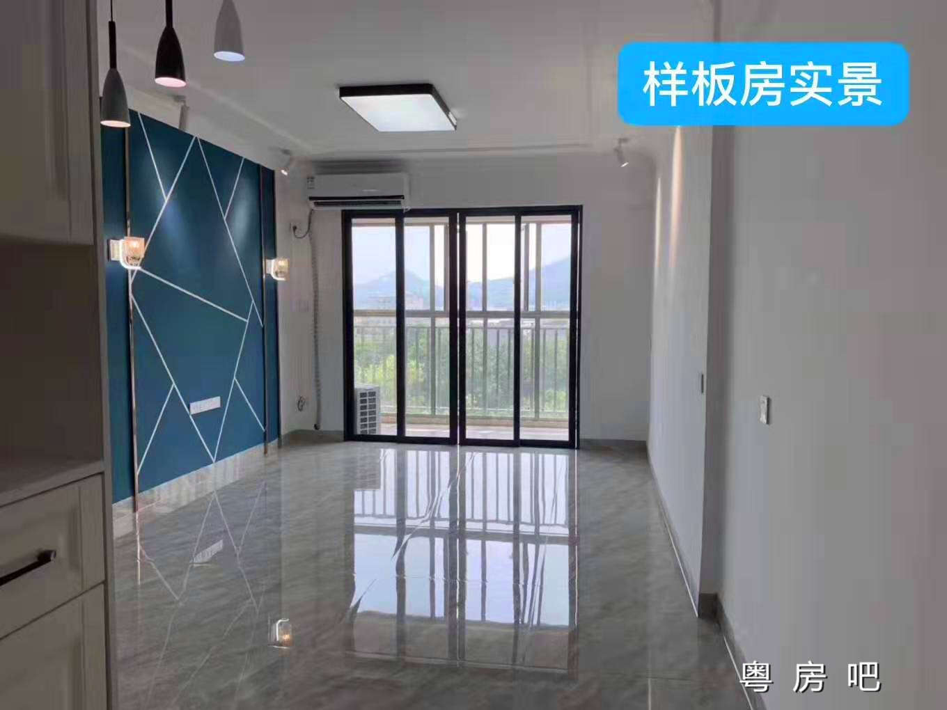 东莞大朗轻轨口《松湖中心壹号》三栋大型统建楼 两房首付11万起 带停车场