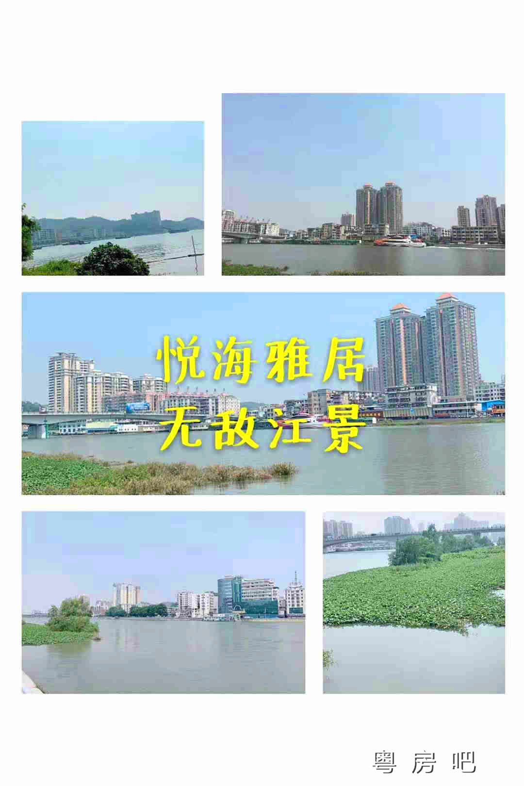 微信图片_201910012011394