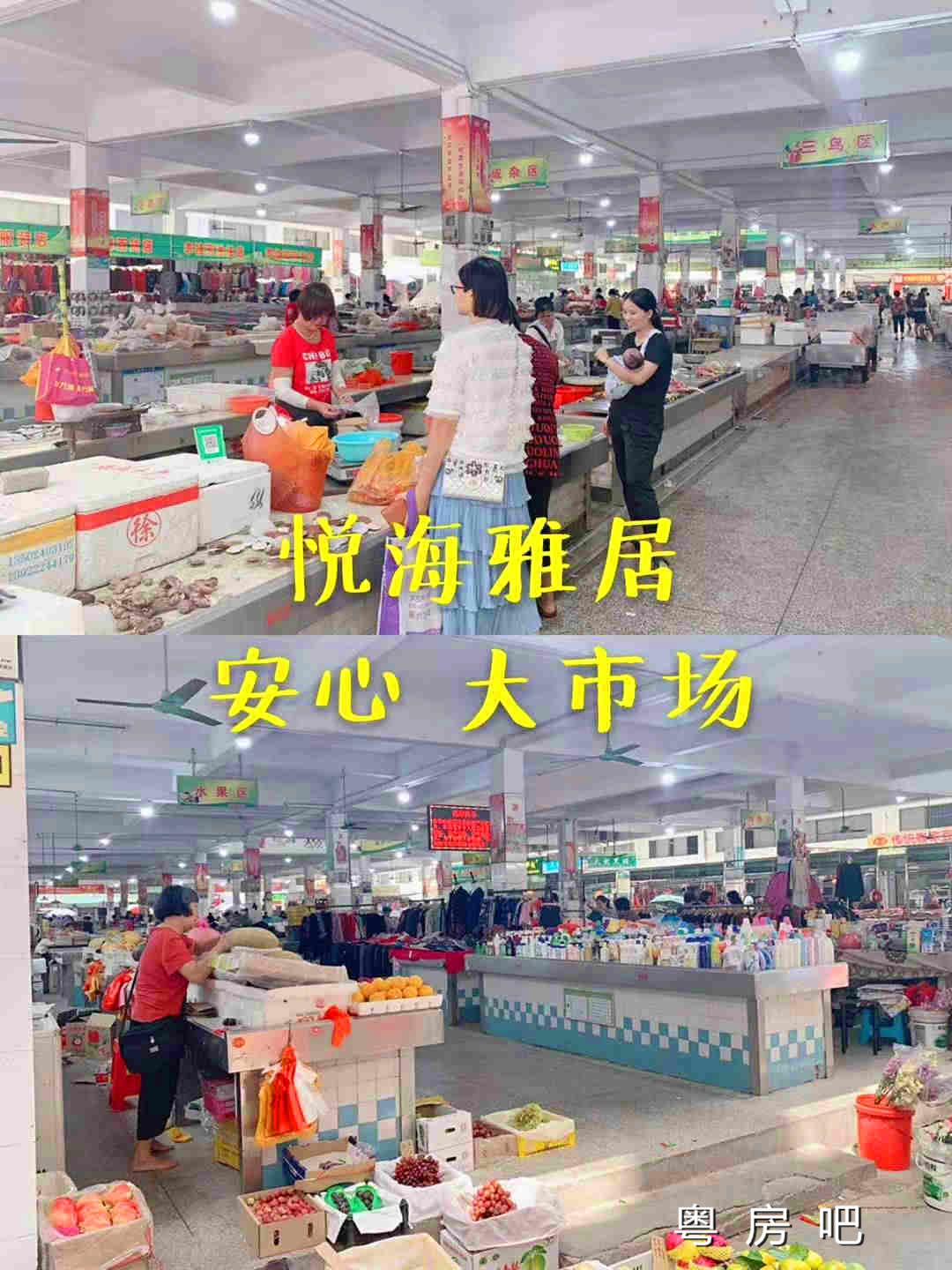 微信图片_201910012011395